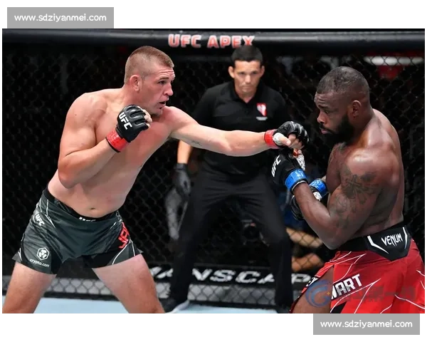 UFC 铁汉巴博萨:逆境中的终极反击 UFC 铁汉巴博萨:逆境中的终极反击