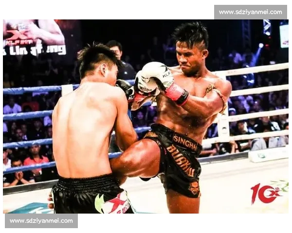 播求vs袓巅峰对决泰拳传奇与新王的时代碰撞赛场风云再起荣耀之战