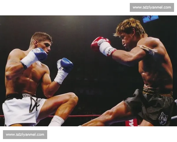 魔裟斗对决克劳斯巅峰之战力量技巧与意志的终极碰撞传奇舞台再燃热血